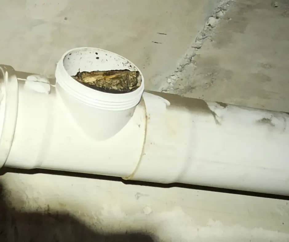 Cañerías tapadas con grasa